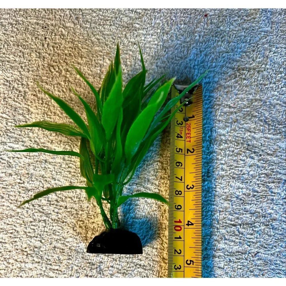 No Brand green grass
